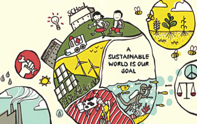 Education for Sustainable Development  - Sustainability in our schools